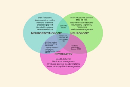 Neuropsychologist vs Neurologist vs Psychiatrist: The Key Differences thumbnail