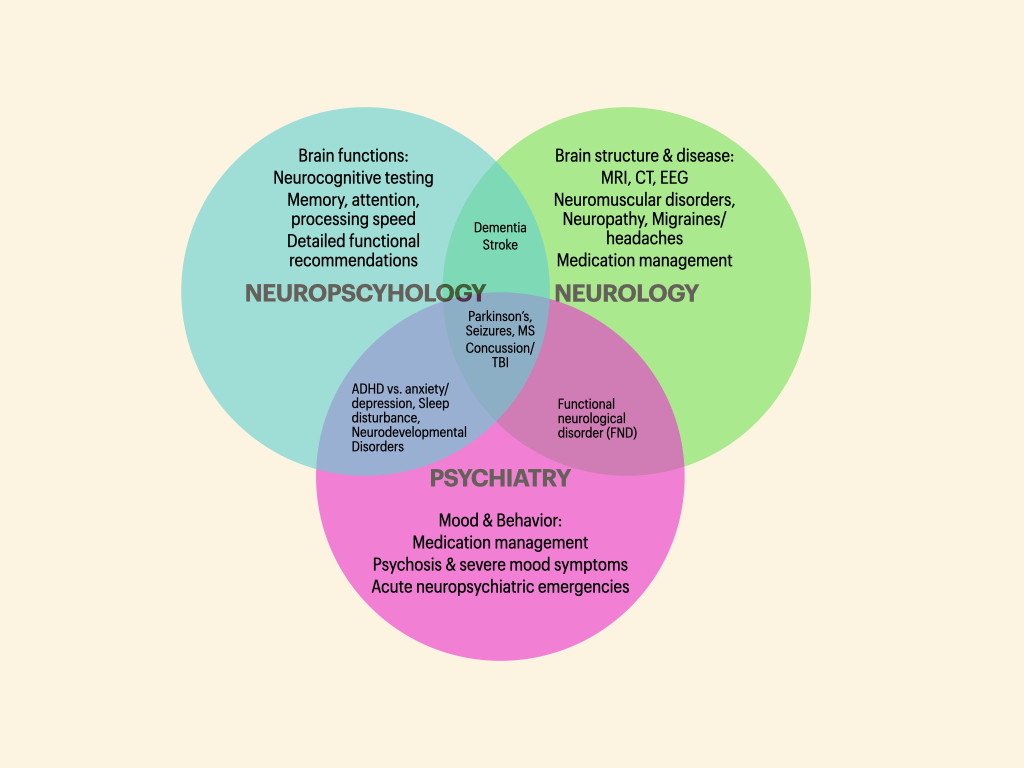 Image for Neuropsychologist vs Neurologist vs Psychiatrist: The Key Differences
